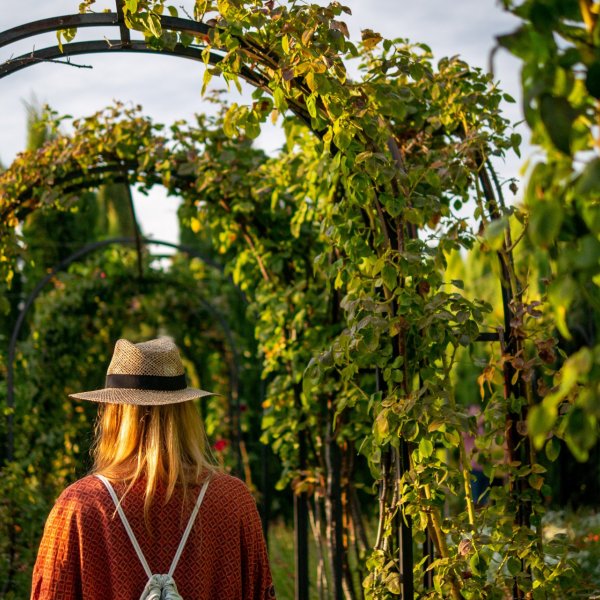 Exploring the Hidden Gardens of Imperial Marrakech